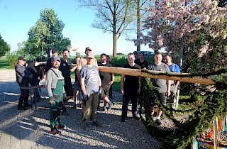 Maibaumstellen