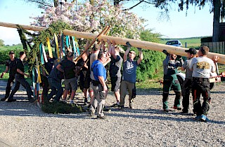 Maibaumstellen