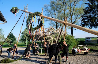 Maibaumstellen