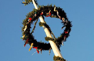 Maibaumstellen
