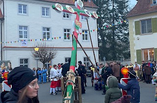 Ausfahrten / Bär rauslau